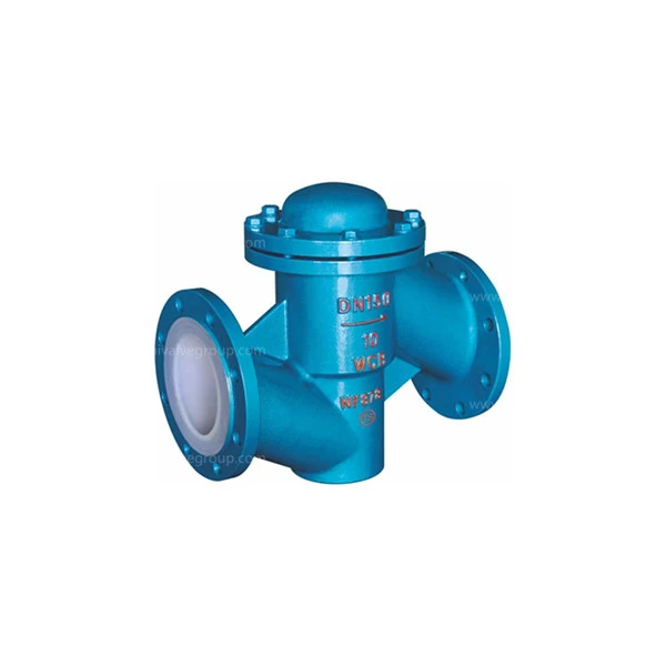 Teflon Lined Check Valves